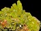 Phosphates & Vanadates